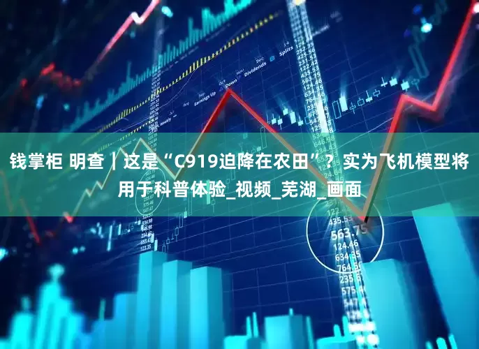 钱掌柜 明查｜这是“C919迫降在农田”？实为飞机模型将用于科普体验_视频_芜湖_画面