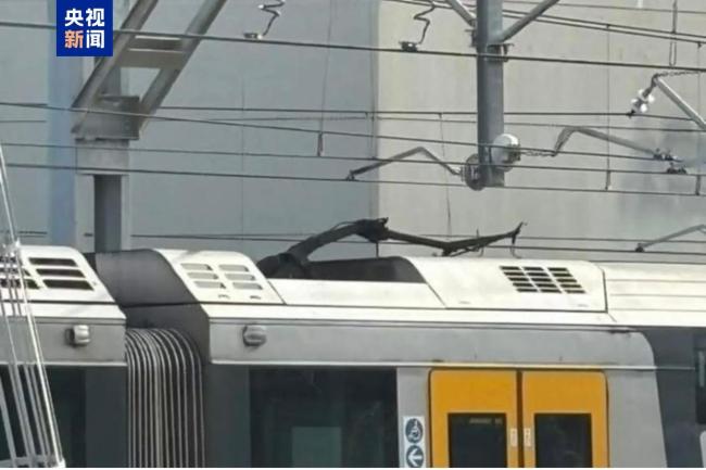 澳1500伏电缆砸火车 300余人被疏散 悉尼火车大面积停运