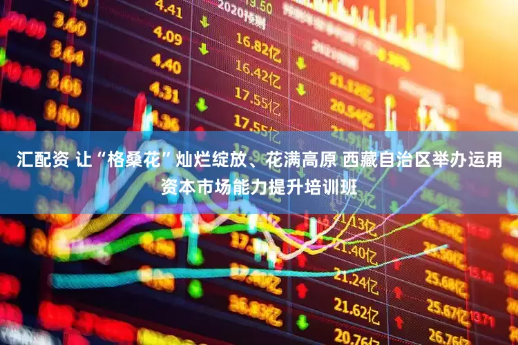 汇配资 让“格桑花”灿烂绽放、花满高原 西藏自治区举办运用资本市场能力提升培训班