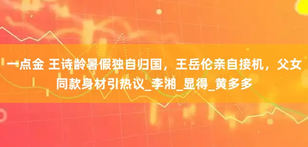 一点金 王诗龄暑假独自归国，王岳伦亲自接机，父女同款身材引热议_李湘_显得_黄多多