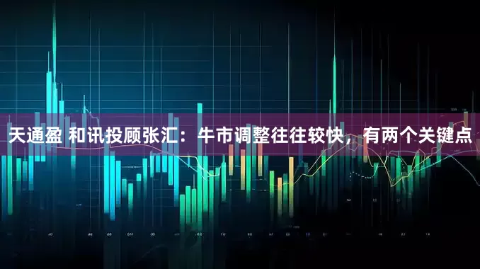 天通盈 和讯投顾张汇：牛市调整往往较快，有两个关键点